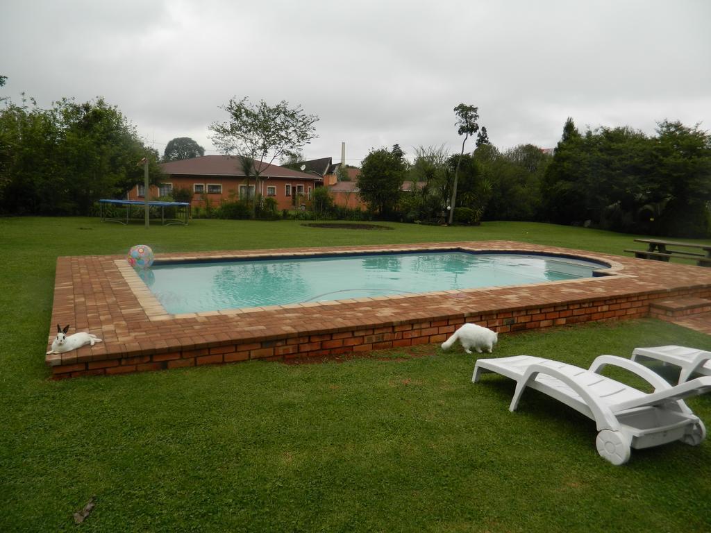 Villa Blue Swallow Chalets à Graskop Extérieur photo